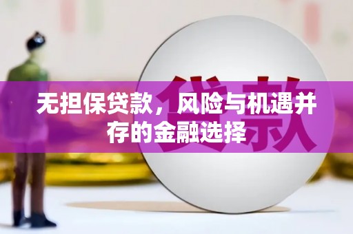 铁西无担保贷款，风险与机遇并存的金融选择