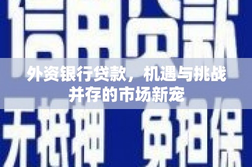 铁西外资银行贷款，机遇与挑战并存的市场新宠