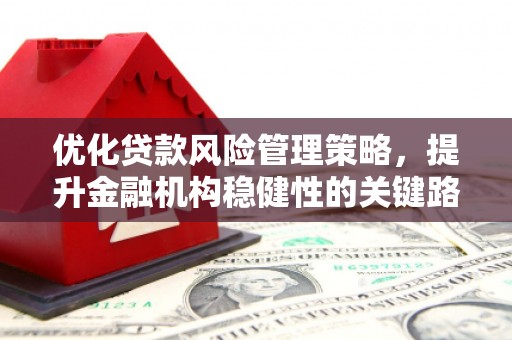 铁西优化贷款风险管理策略，提升金融机构稳健性的关键路径