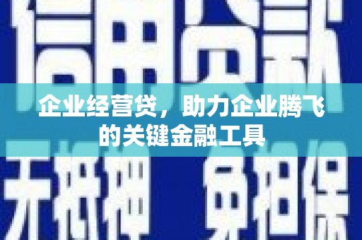 铁西企业经营贷，助力企业腾飞的关键金融工具