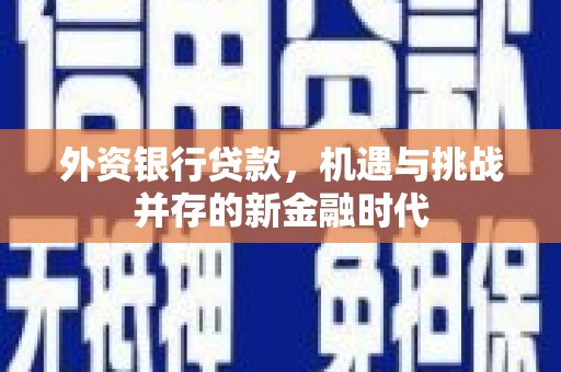 铁西外资银行贷款，机遇与挑战并存的新金融时代