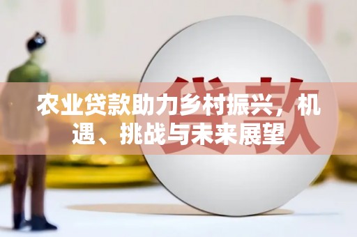 铁西农业贷款助力乡村振兴，机遇、挑战与未来展望