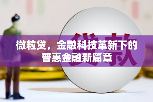 铁西微粒贷，金融科技革新下的普惠金融新篇章