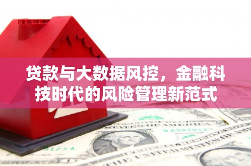 铁西贷款与大数据风控，金融科技时代的风险管理新范式