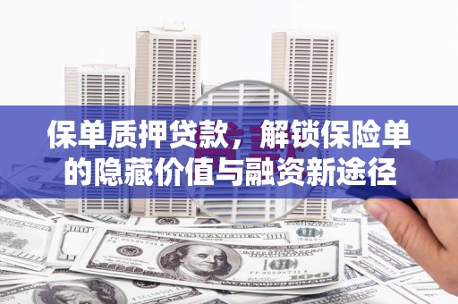 铁西保单质押贷款，解锁保险单的隐藏价值与融资新途径