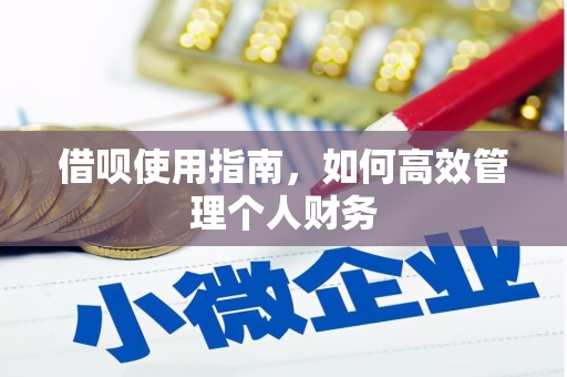 铁西借呗使用指南，如何高效管理个人财务