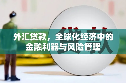 铁西外汇贷款，全球化经济中的金融利器与风险管理