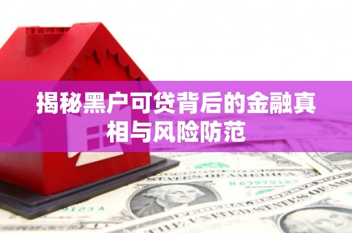 铁西揭秘黑户可贷背后的金融真相与风险防范