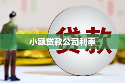 铁西小额贷款公司利率