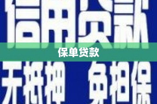 铁西保单贷款
