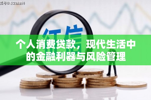 铁西个人消费贷款，现代生活中的金融利器与风险管理