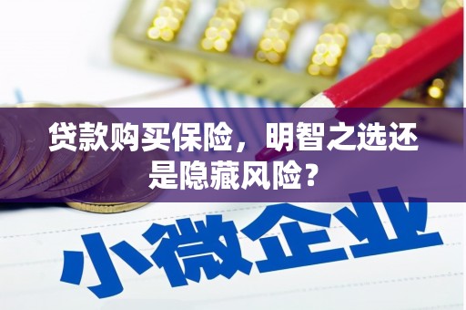 铁西贷款购买保险，明智之选还是隐藏风险？