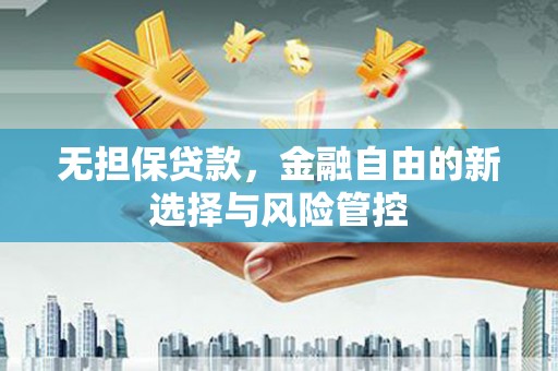 铁西无担保贷款，金融自由的新选择与风险管控