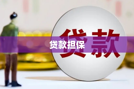 铁西贷款担保