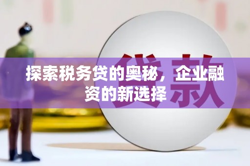 铁西探索税务贷的奥秘，企业融资的新选择