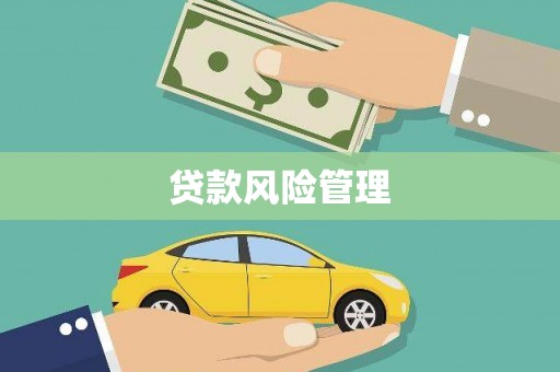 铁西贷款风险管理