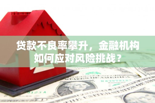 铁西贷款不良率攀升，金融机构如何应对风险挑战？