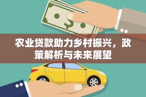 铁西农业贷款助力乡村振兴，政策解析与未来展望