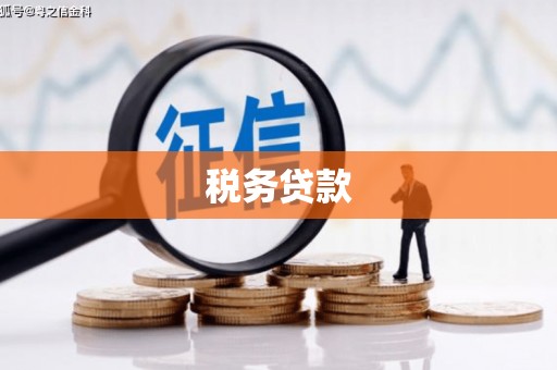 铁西税务贷款