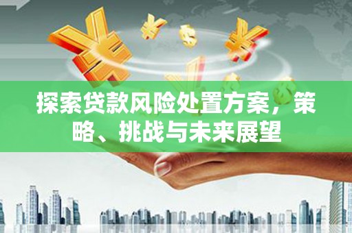 铁西探索贷款风险处置方案，策略、挑战与未来展望
