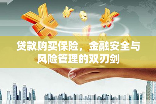 铁西贷款购买保险，金融安全与风险管理的双刃剑