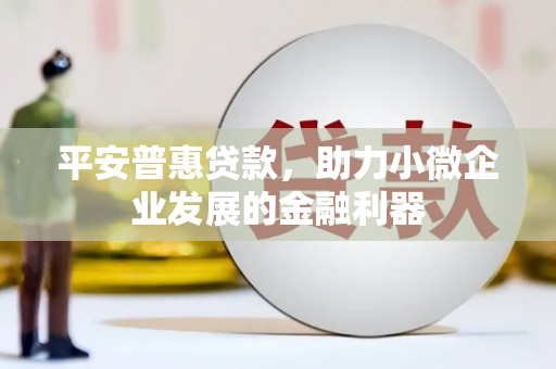铁西平安普惠贷款，助力小微企业发展的金融利器
