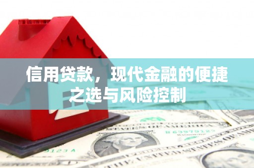 铁西信用贷款，现代金融的便捷之选与风险控制
