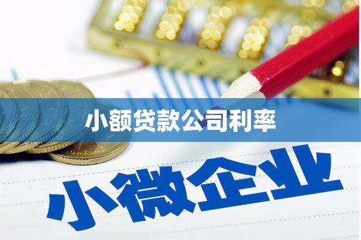 铁西小额贷款公司利率