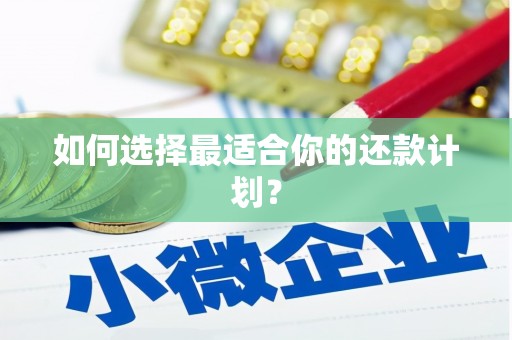 铁西如何选择最适合你的还款计划？