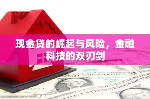 铁西现金贷的崛起与风险，金融科技的双刃剑