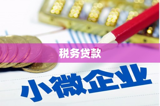 铁西税务贷款