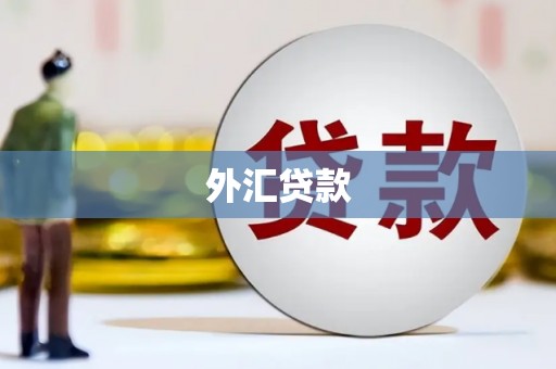 铁西外汇贷款