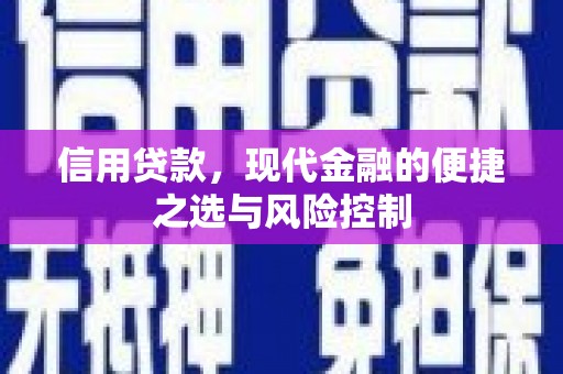 铁西信用贷款，现代金融的便捷之选与风险控制