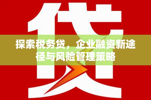 铁西探索税务贷，企业融资新途径与风险管理策略