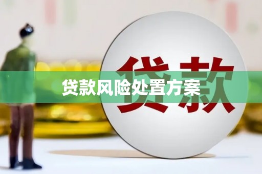 铁西贷款风险处置方案