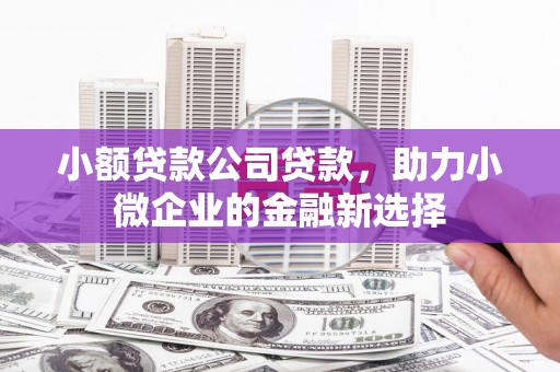 铁西小额贷款公司贷款，助力小微企业的金融新选择
