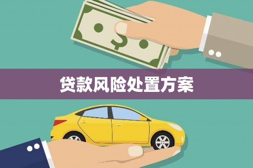 铁西贷款风险处置方案