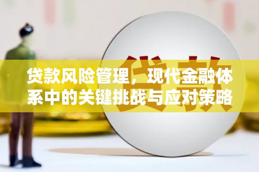 铁西贷款风险管理，现代金融体系中的关键挑战与应对策略