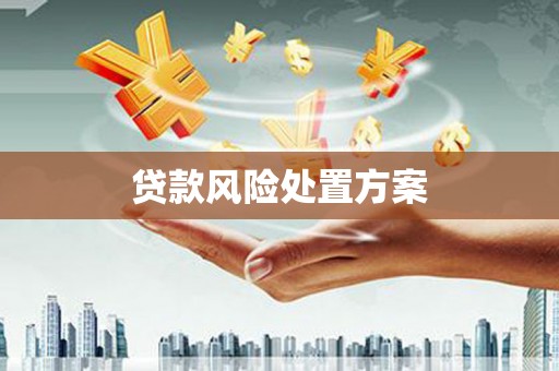 铁西贷款风险处置方案