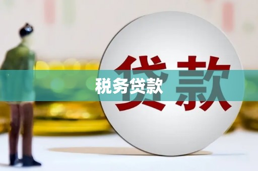 铁西税务贷款