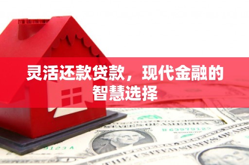 铁西灵活还款贷款，现代金融的智慧选择