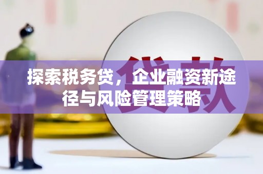铁西探索税务贷，企业融资新途径与风险管理策略