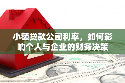 铁西小额贷款公司利率，如何影响个人与企业的财务决策