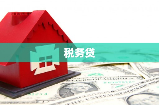 铁西税务贷