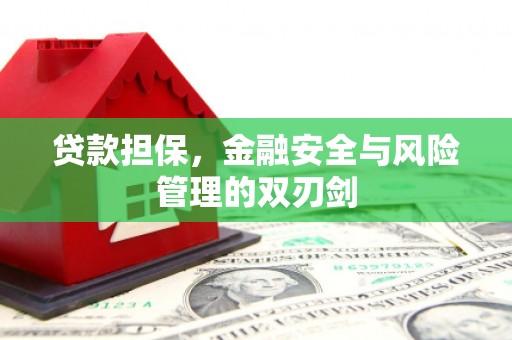 铁西贷款担保，金融安全与风险管理的双刃剑
