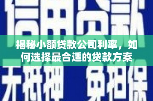 铁西揭秘小额贷款公司利率，如何选择最合适的贷款方案