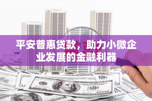 铁西平安普惠贷款，助力小微企业发展的金融利器