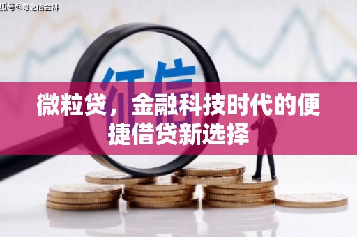 铁西微粒贷，金融科技时代的便捷借贷新选择