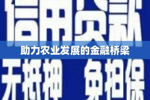 铁西助力农业发展的金融桥梁
