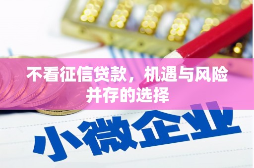 铁西不看征信贷款，机遇与风险并存的选择